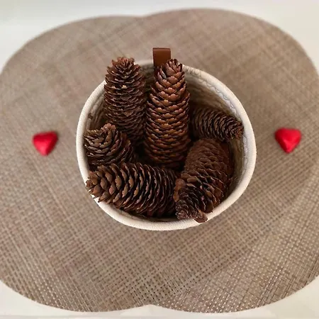 Les Yeux Du アパート